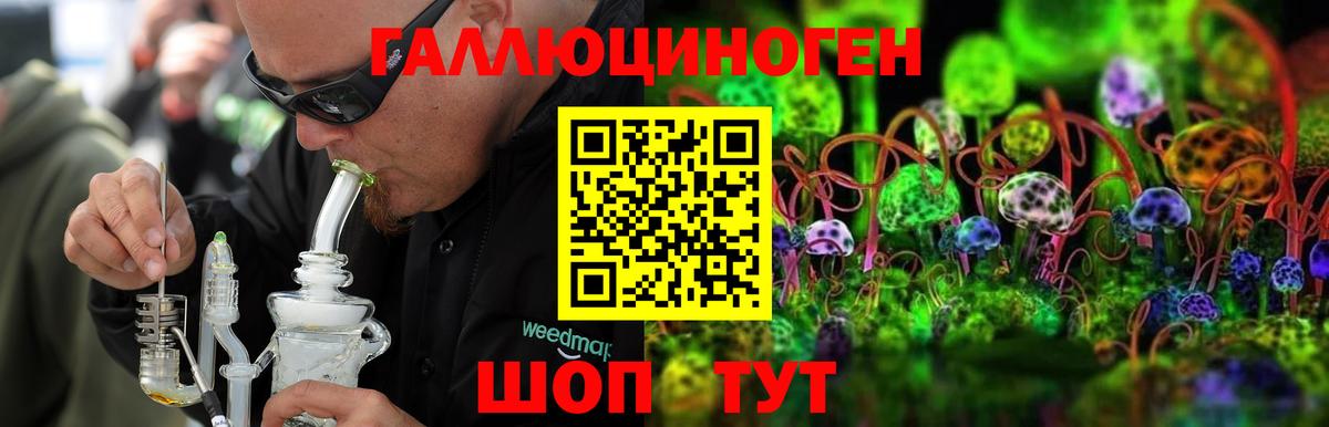 Галлюциногенные грибы Psilocybine cubensis  Псилоцибиновые грибы ЛСД  Ачхой-Мартан  Вход с VPN 